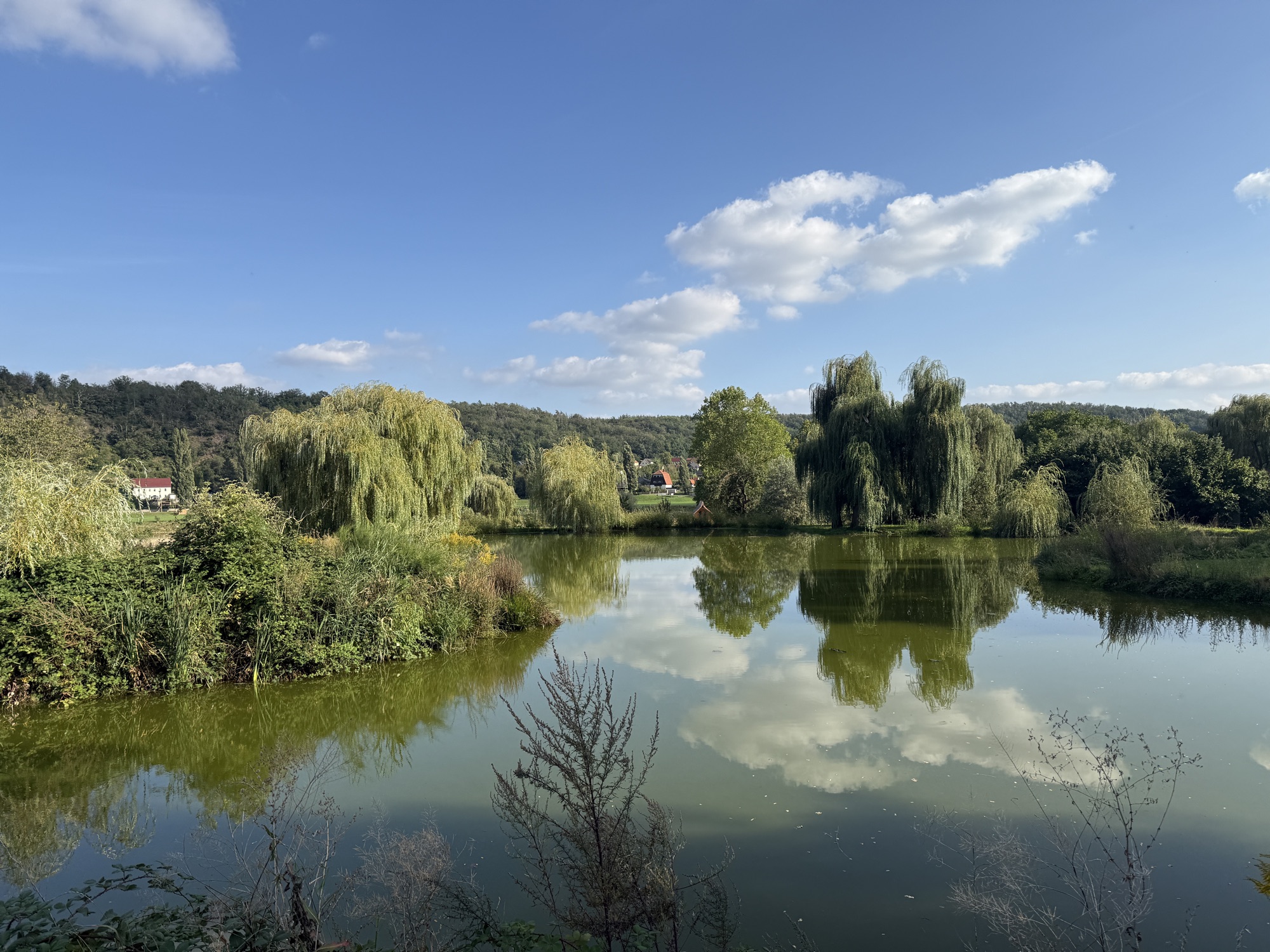 Der große Naturteich mit Wolkenspiegelung