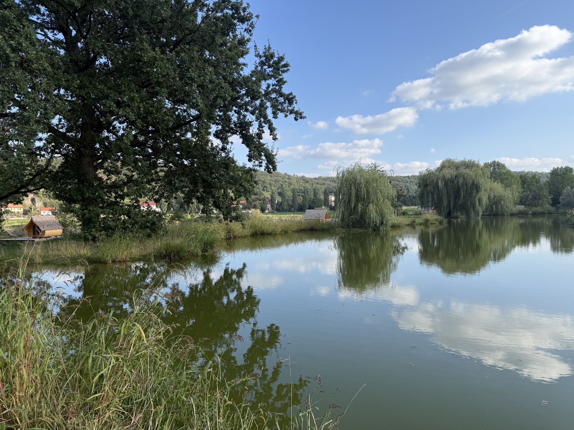 Blick vom Teichhaus über das Wasser zu zwei Cabins