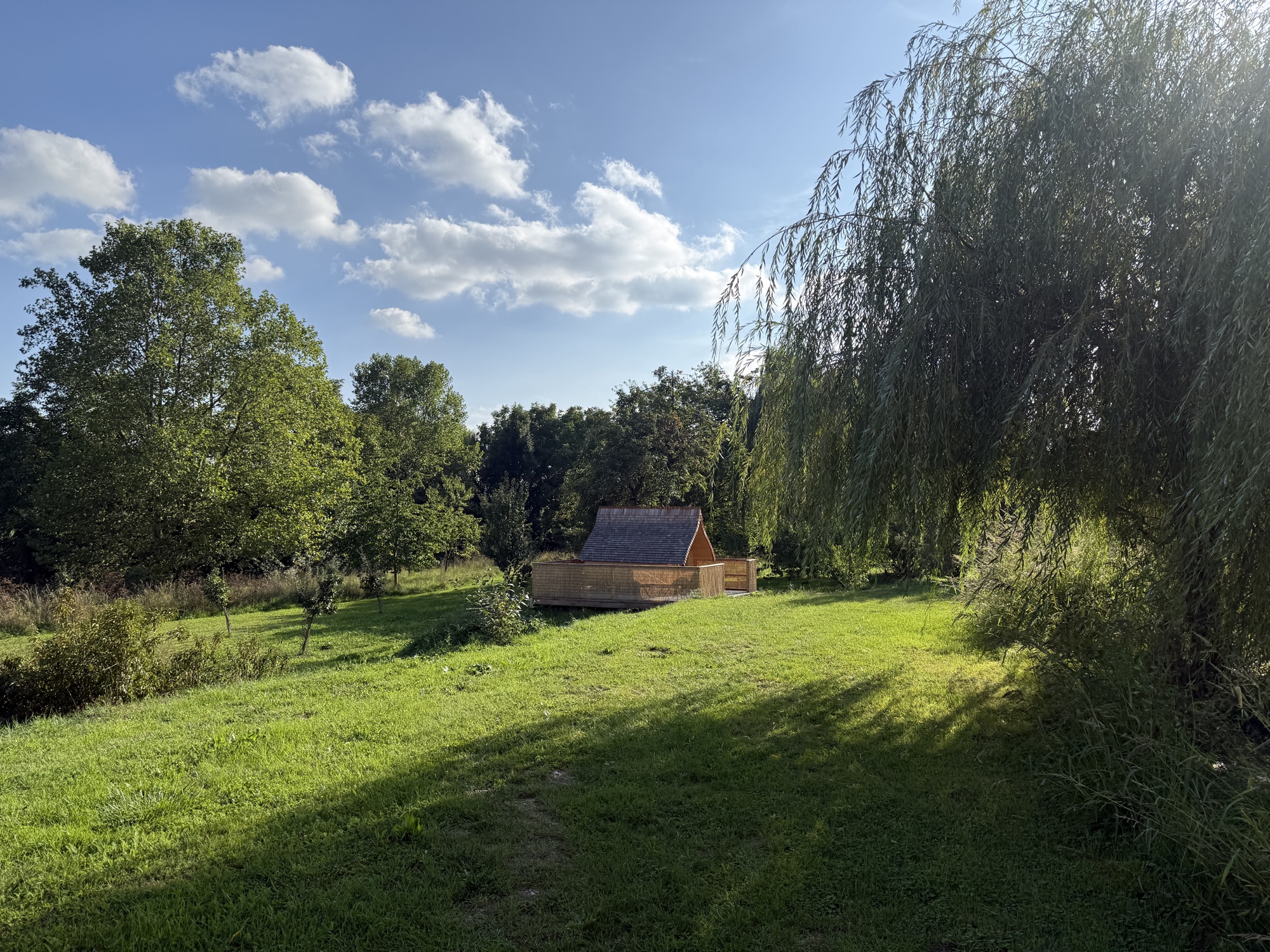 Wiese unter der Weide, eine Cabin versteckt in der Ferne