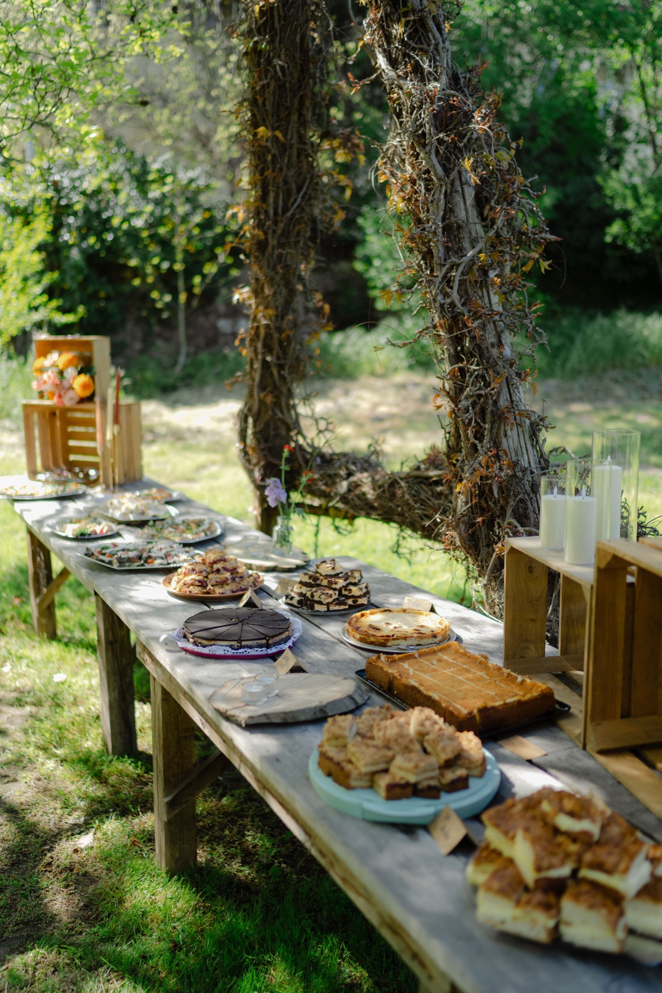 Kuchentafel zum Kaffeetrinken unter der Magnolie