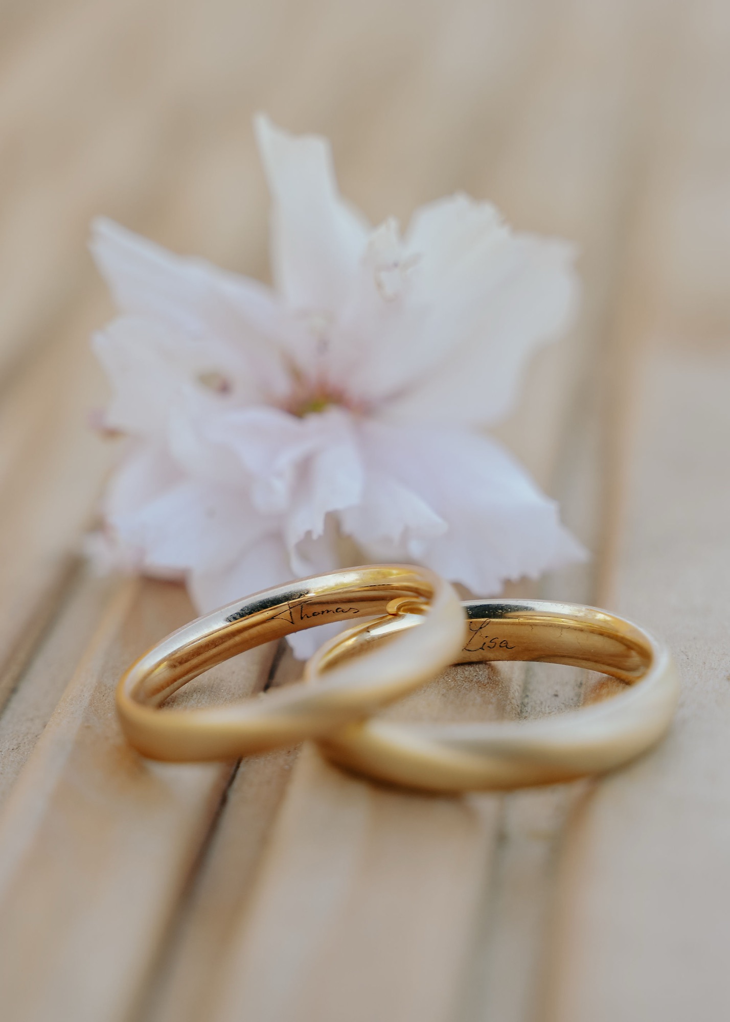 Zwei goldene Ringe neben einer Blüte